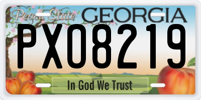 GA license plate PXO8219