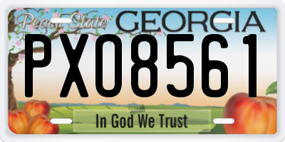 GA license plate PXO8561