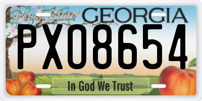 GA license plate PXO8654