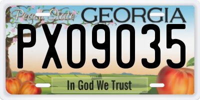 GA license plate PXO9035