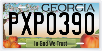 GA license plate PXP0390
