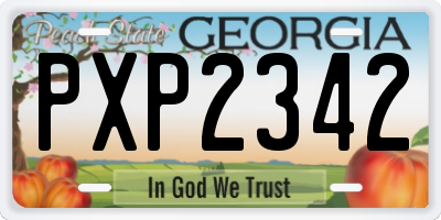GA license plate PXP2342
