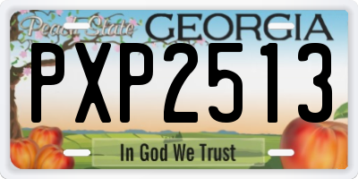 GA license plate PXP2513