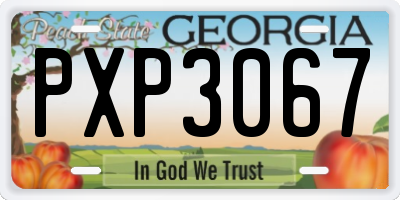 GA license plate PXP3067
