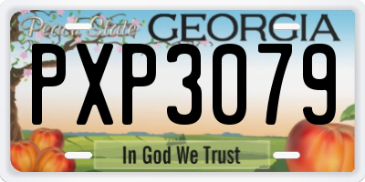 GA license plate PXP3079