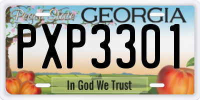 GA license plate PXP3301