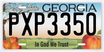 GA license plate PXP3350