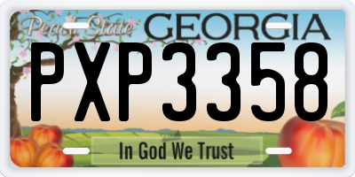 GA license plate PXP3358
