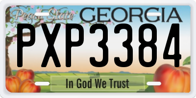 GA license plate PXP3384