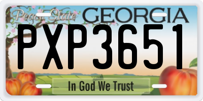 GA license plate PXP3651