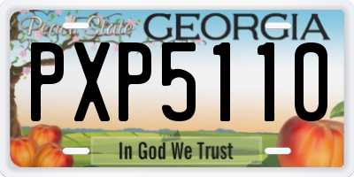 GA license plate PXP5110