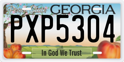 GA license plate PXP5304