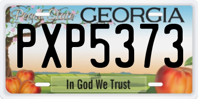GA license plate PXP5373