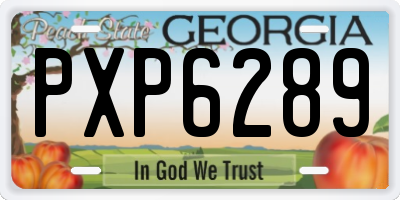GA license plate PXP6289