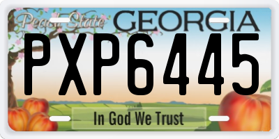GA license plate PXP6445