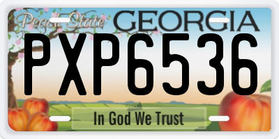 GA license plate PXP6536