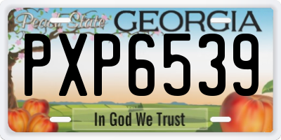 GA license plate PXP6539