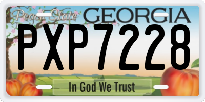 GA license plate PXP7228