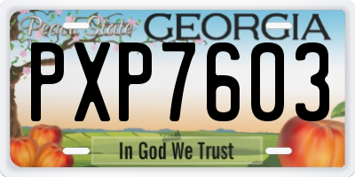 GA license plate PXP7603