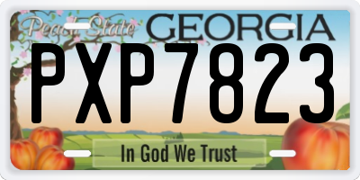 GA license plate PXP7823