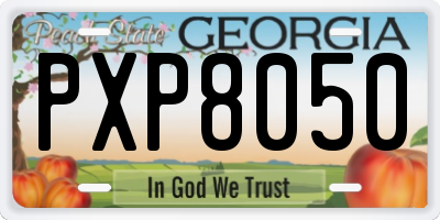 GA license plate PXP8050