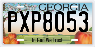 GA license plate PXP8053