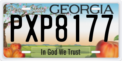 GA license plate PXP8177