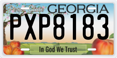 GA license plate PXP8183