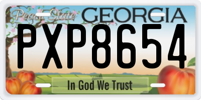 GA license plate PXP8654