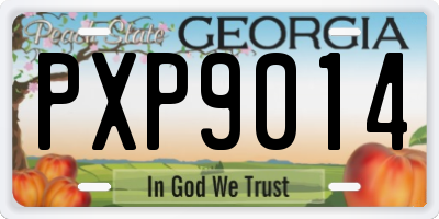 GA license plate PXP9014
