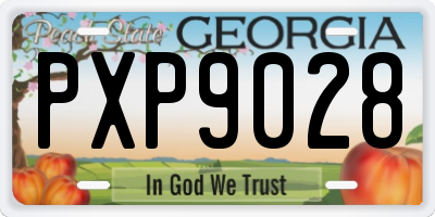 GA license plate PXP9028