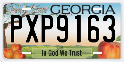 GA license plate PXP9163