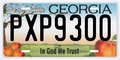 GA license plate PXP9300