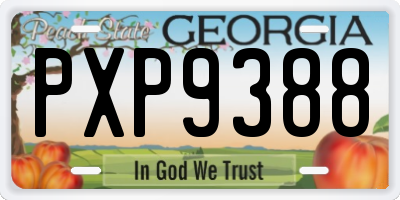 GA license plate PXP9388