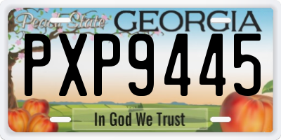 GA license plate PXP9445