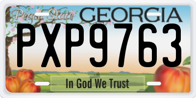 GA license plate PXP9763
