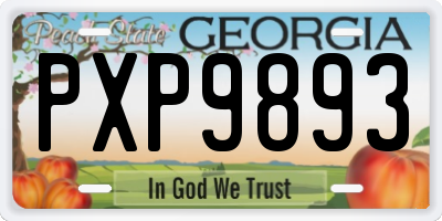 GA license plate PXP9893