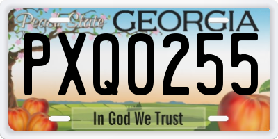 GA license plate PXQ0255