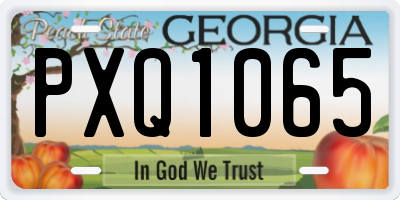 GA license plate PXQ1065