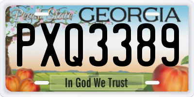 GA license plate PXQ3389