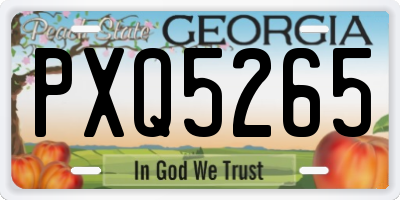 GA license plate PXQ5265