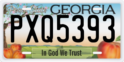 GA license plate PXQ5393