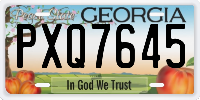 GA license plate PXQ7645