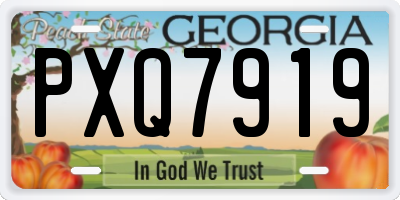 GA license plate PXQ7919