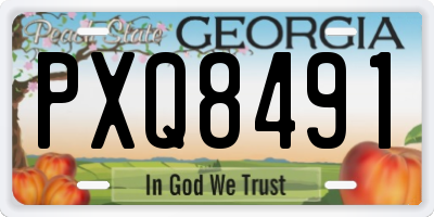 GA license plate PXQ8491