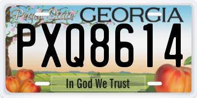 GA license plate PXQ8614