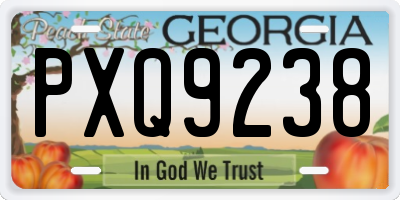 GA license plate PXQ9238