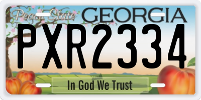 GA license plate PXR2334