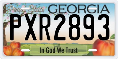 GA license plate PXR2893