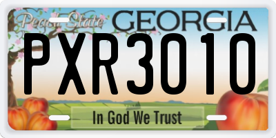 GA license plate PXR3010